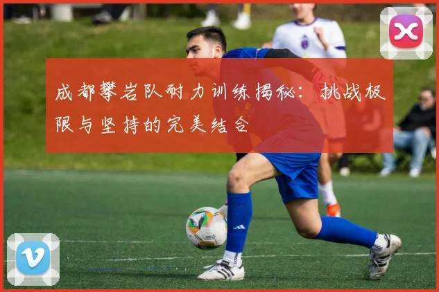 成都攀岩队耐力训练揭秘：挑战极限与坚持的完美结合